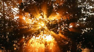 До +26°С ожидается в Беларуси 9 сентября