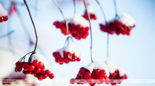 Белгидромет объявил оранжевый уровень опасности 30 января