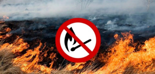 Пинская городская и районная инспекция природных ресурсов и охраны окружающей среды напоминает об административной ответственности за незаконное выжигание сухой растительности.