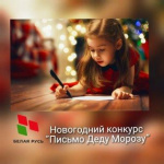 Пинская городская организация РОО «Белая Русь» проводит новогодний конкурс «Письмо Деду Морозу»