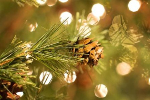 Итоги ежегодного городского смотра-конкурса на лучшее новогоднее оформление зданий и прилегающих к ним территорий