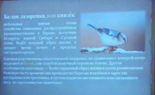 Итоги конкурса "Домик белой лазоревки"