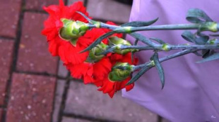 Программа мероприятий, приуроченных к празднованию Дня Октябрьской революции