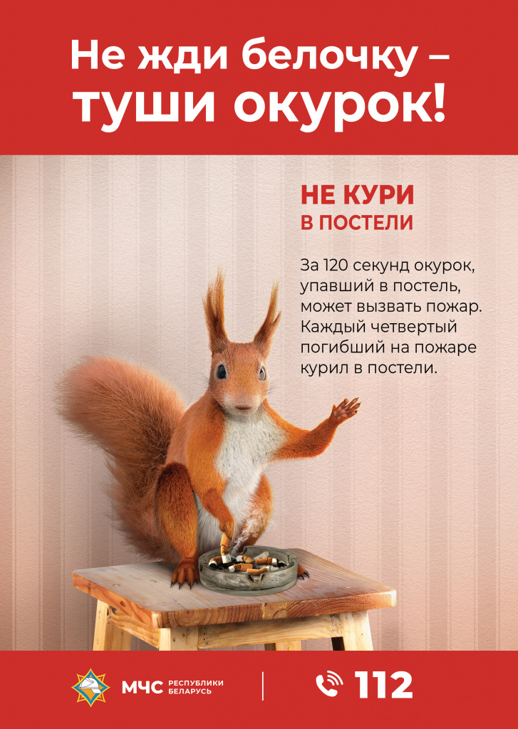 Белочка красная.jpg