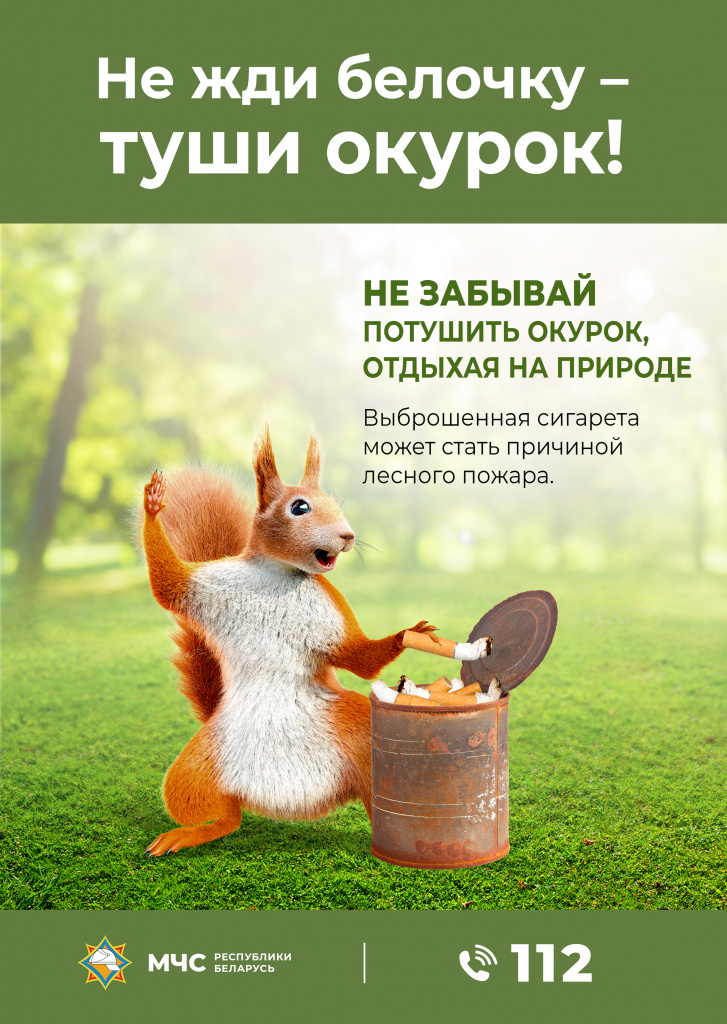 Белочка зеленая.jpg