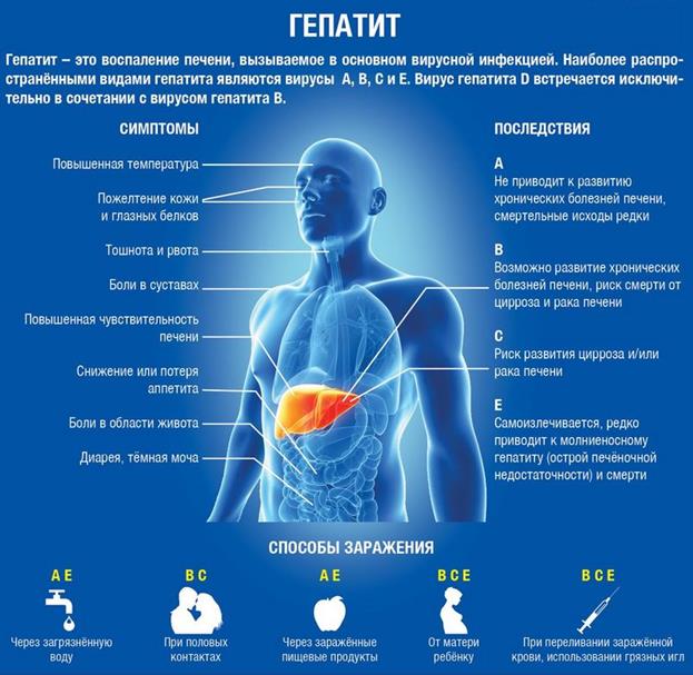 гепатит 2.jpg