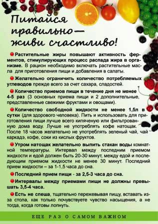 Питайся правильно 1 стр.jpg