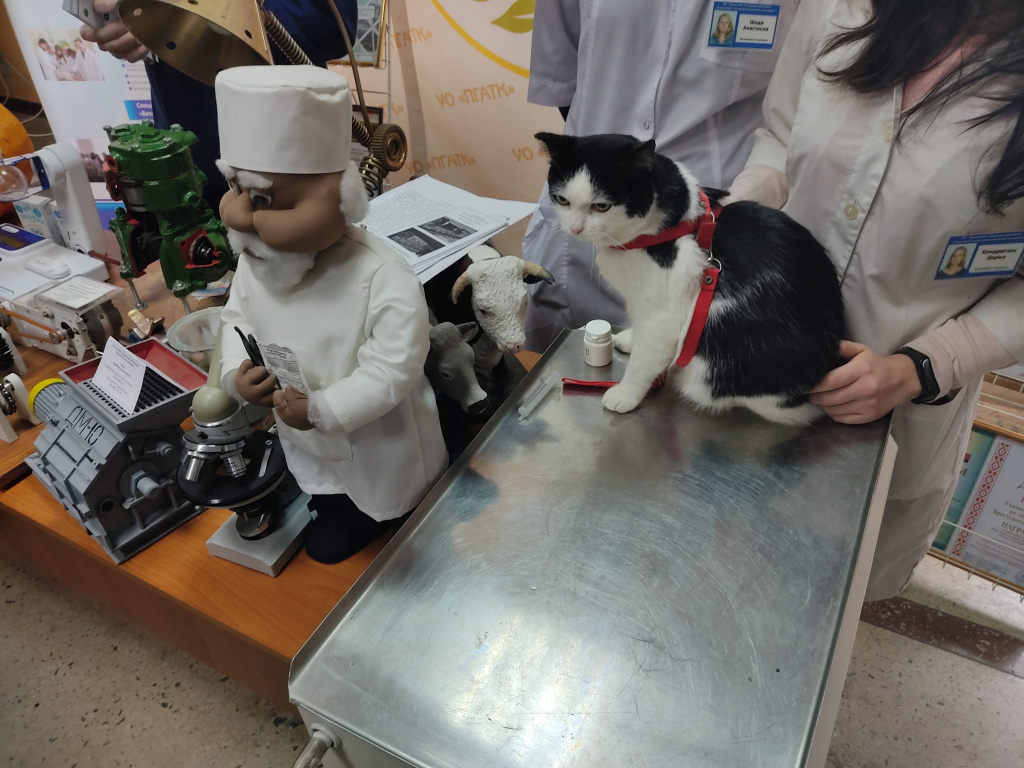 IMG_20210403_103047.jpg IMG_20210403_103047.jpg