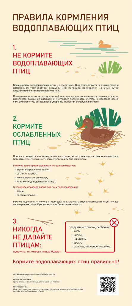 Памятка Птицы (1).jpg